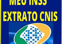 CNIS - Consulta, Extrato, INSS