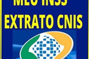 CNIS - Consulta, Extrato, INSS